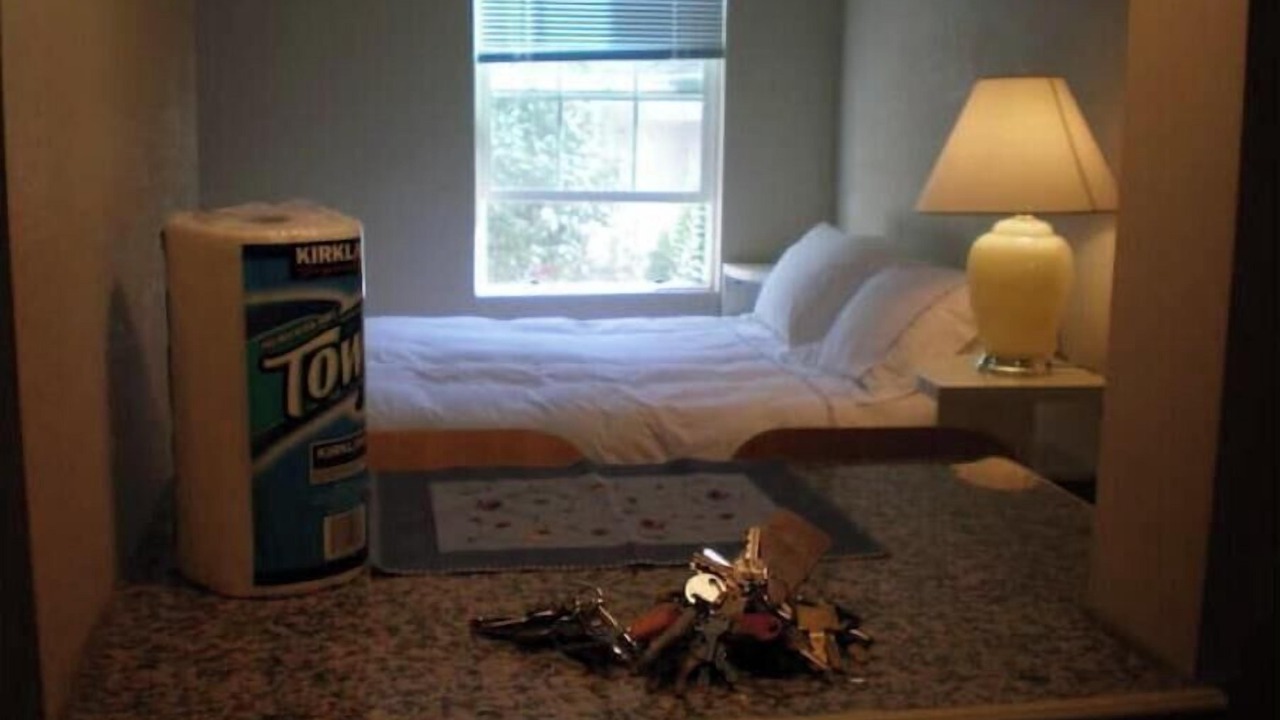 Photo of Others in University South