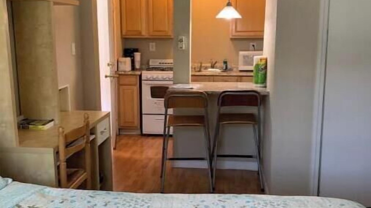 Photo of Others in University South