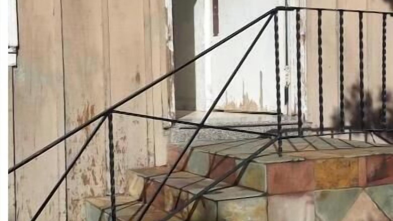 Photo of Outdoor in Professorville