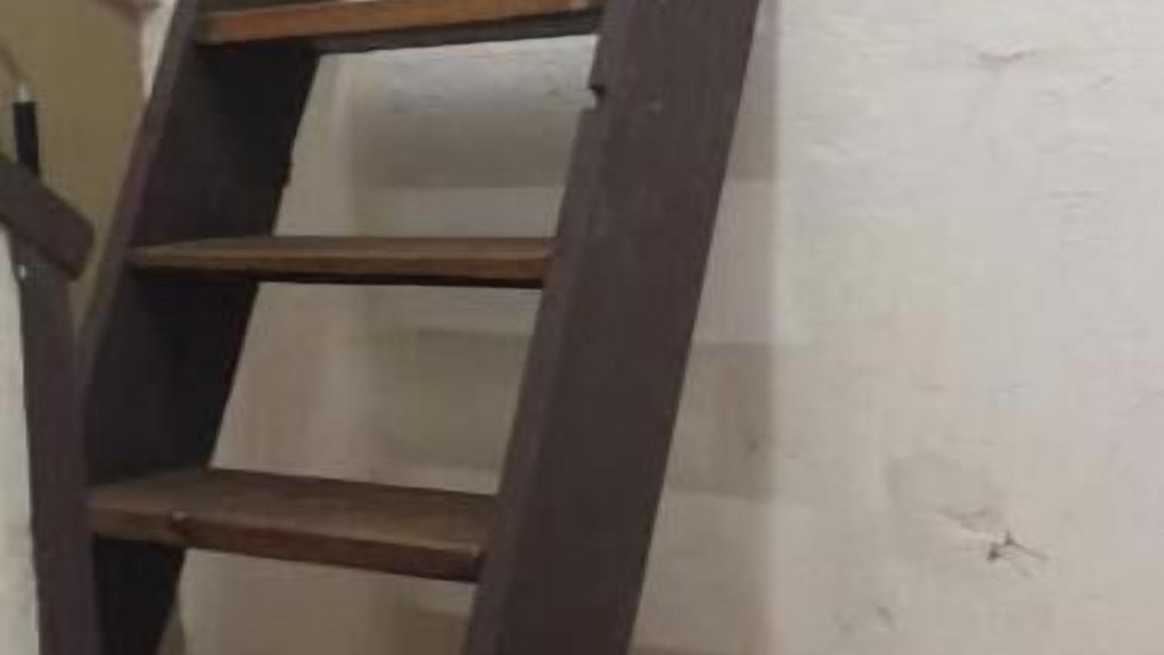 Photo of Others in University South