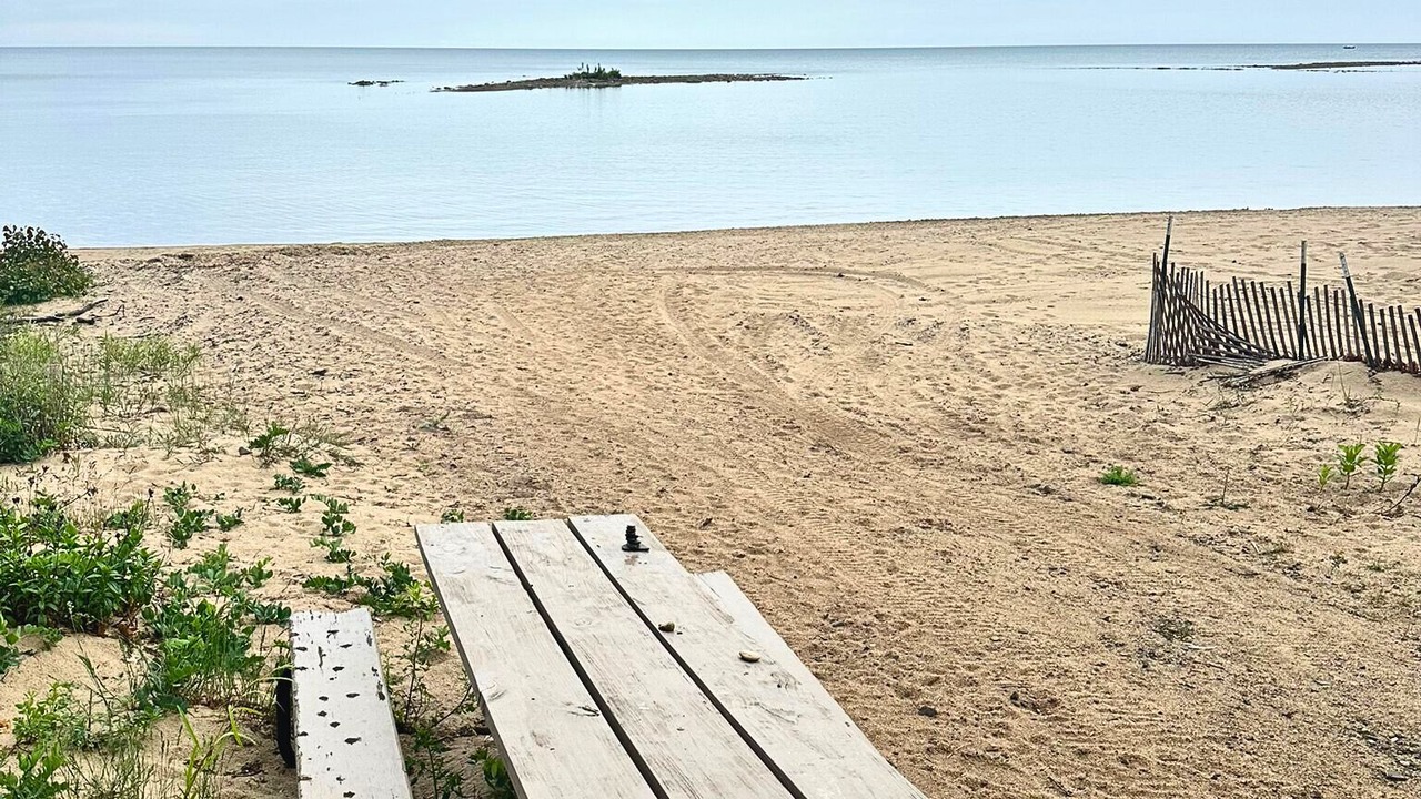 Photo of Others in Port Austin