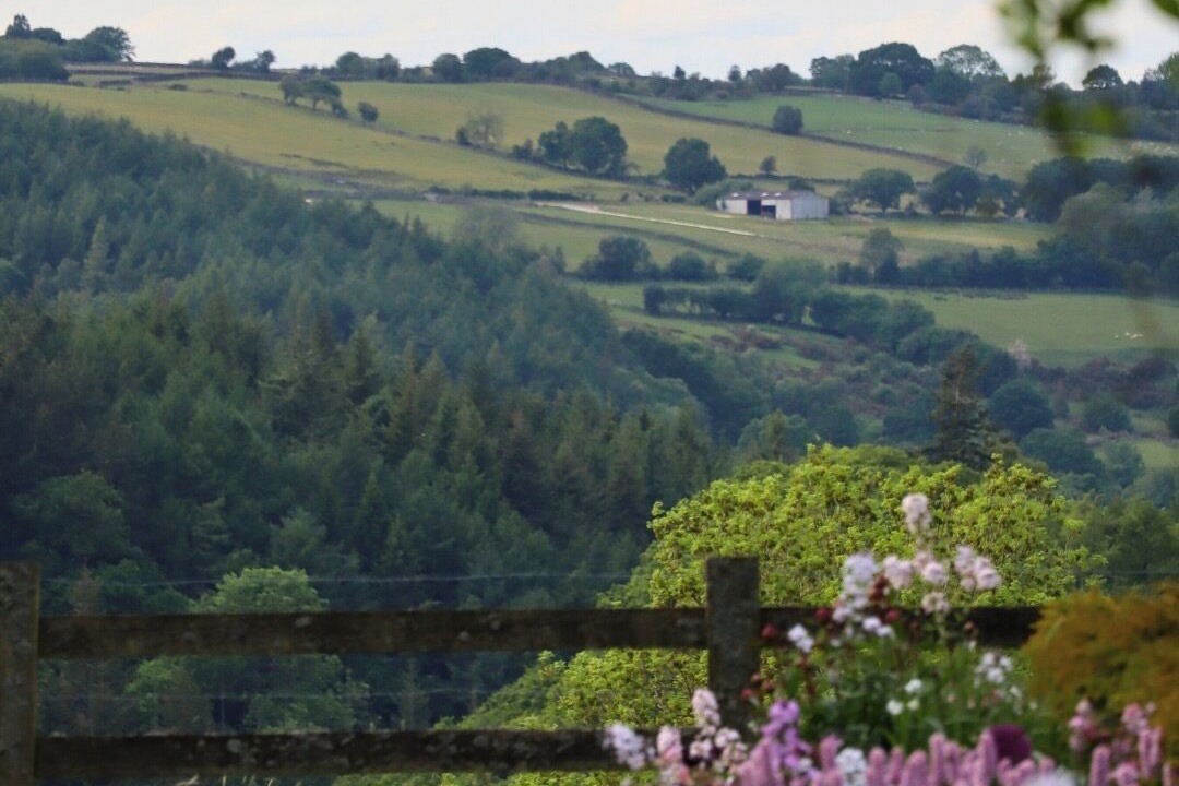 Photo of Outdoor in Goathland