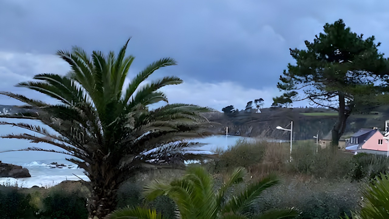 Photo of Outdoor in Locmaria-Plouzane