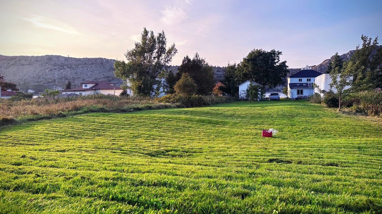 Photo of Outdoor in Cupids