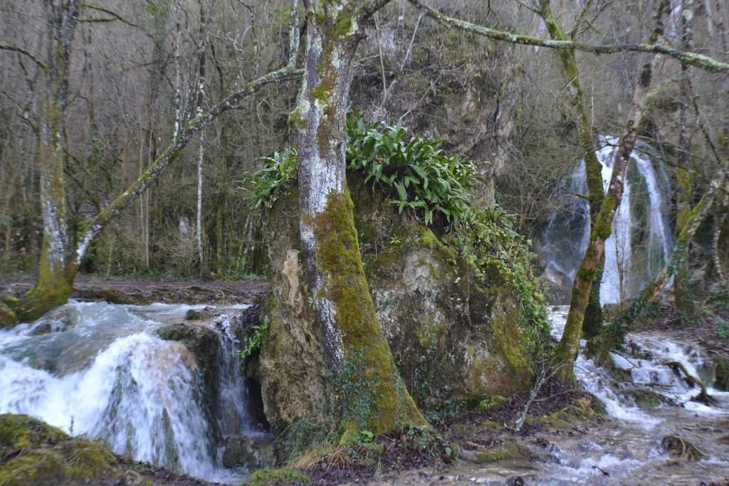 Photo of Others in Roquefort-les-Cascades