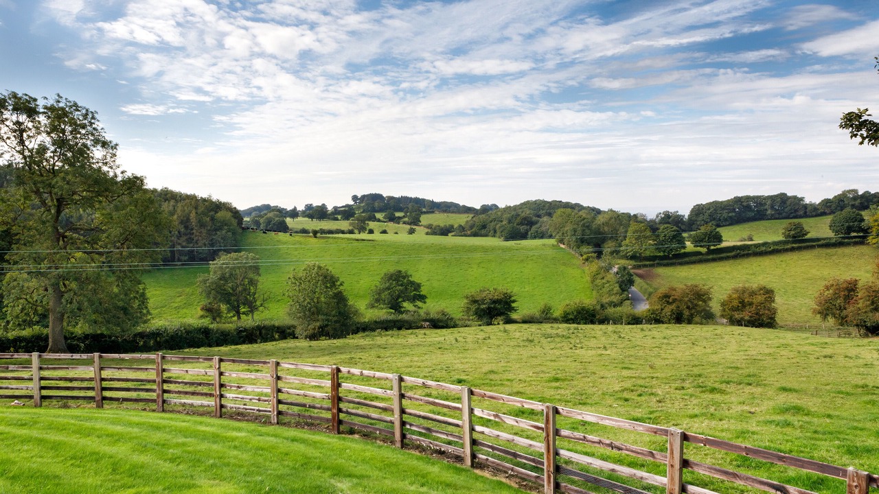 Photo of Others in Thirsk