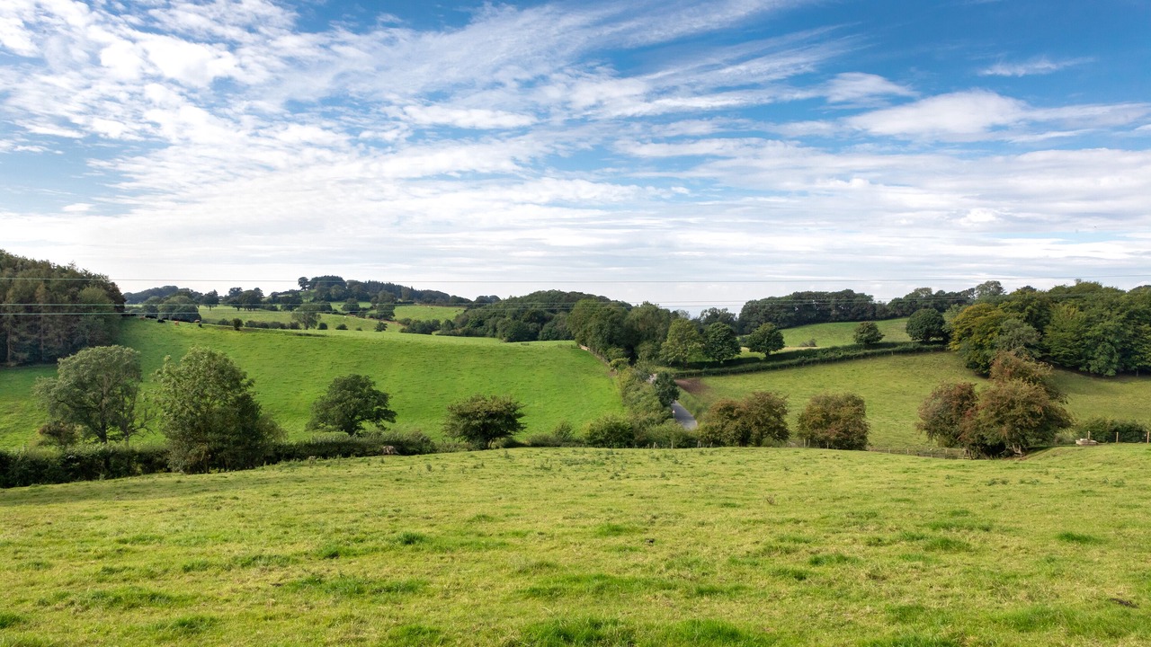 Photo of Others in Thirsk