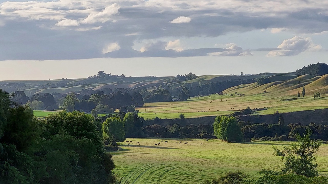 Photo of Others in Cheltenham