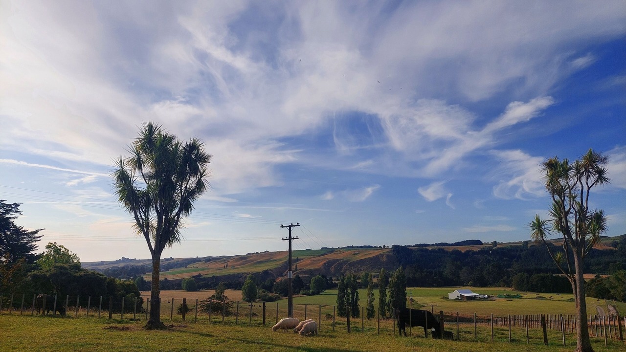 Photo of Others in Cheltenham