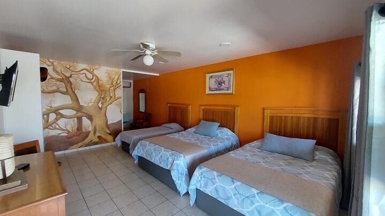 Photo of Bedroom in Agua de las Flores