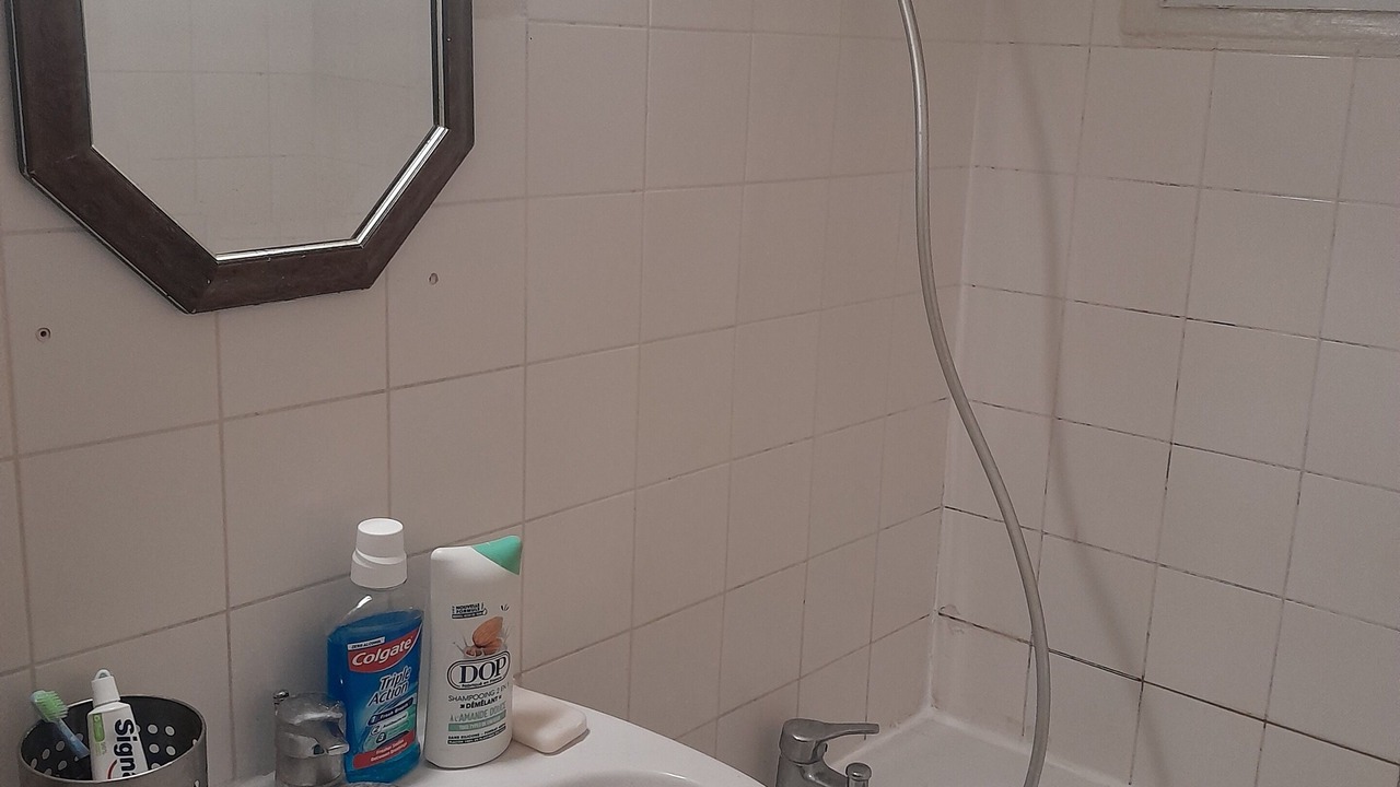 Photo of Others in Orleans