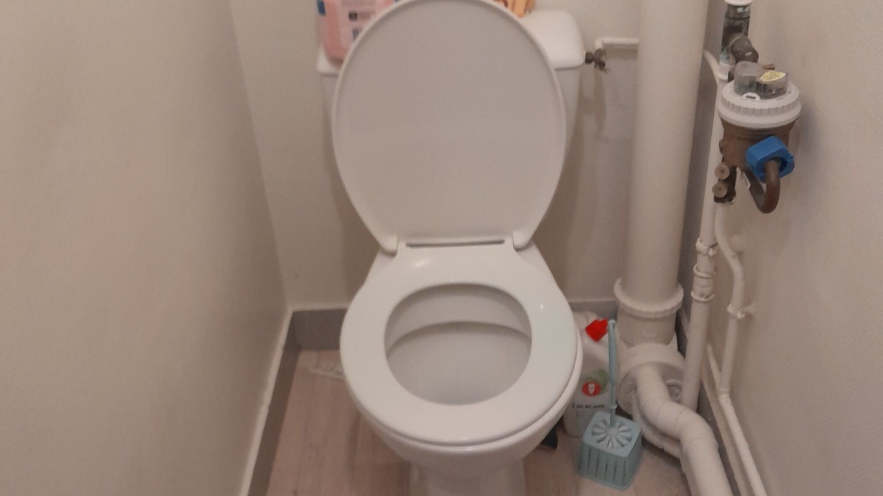 Photo of Others in Orleans