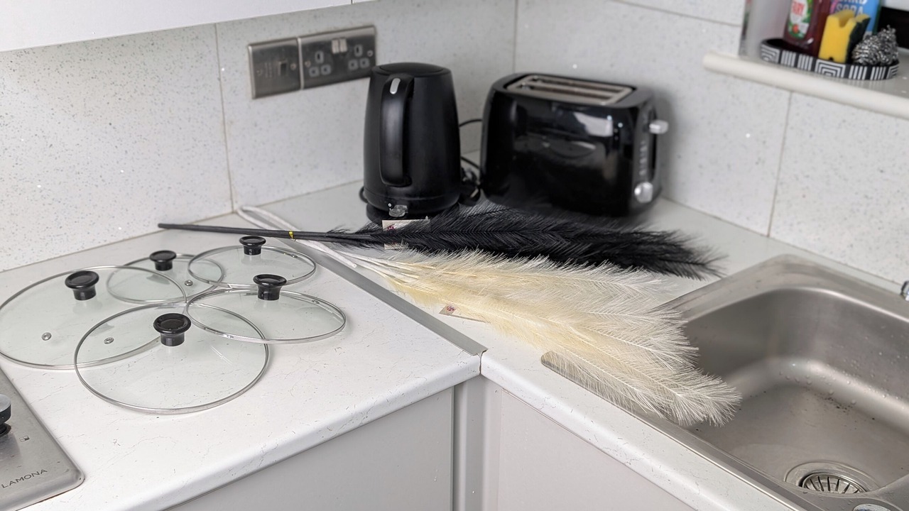 Photo of Others in Withington