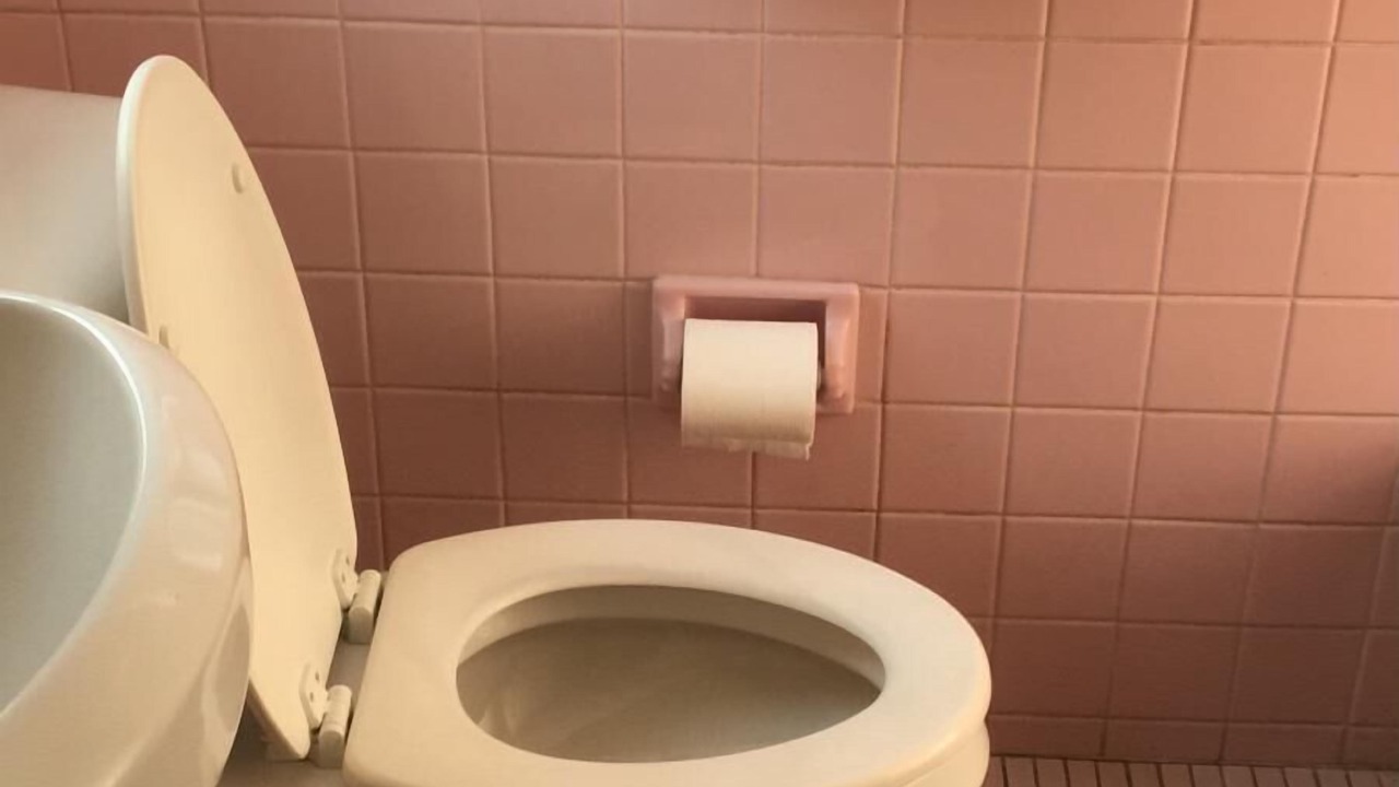 Photo of Bathroom in Redford