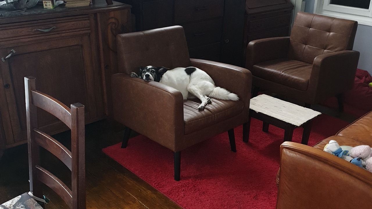 Photo of Others in Colleville-Montgomery