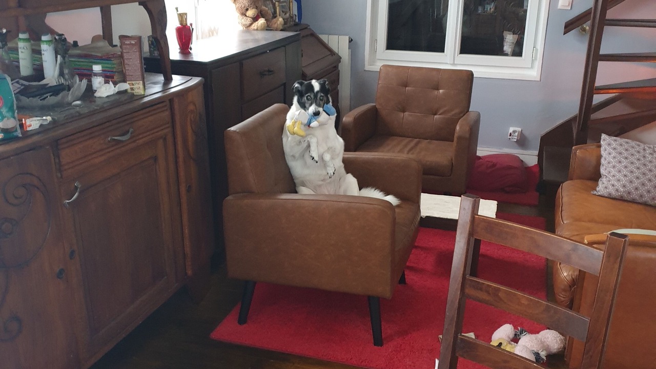 Photo of Others in Colleville-Montgomery