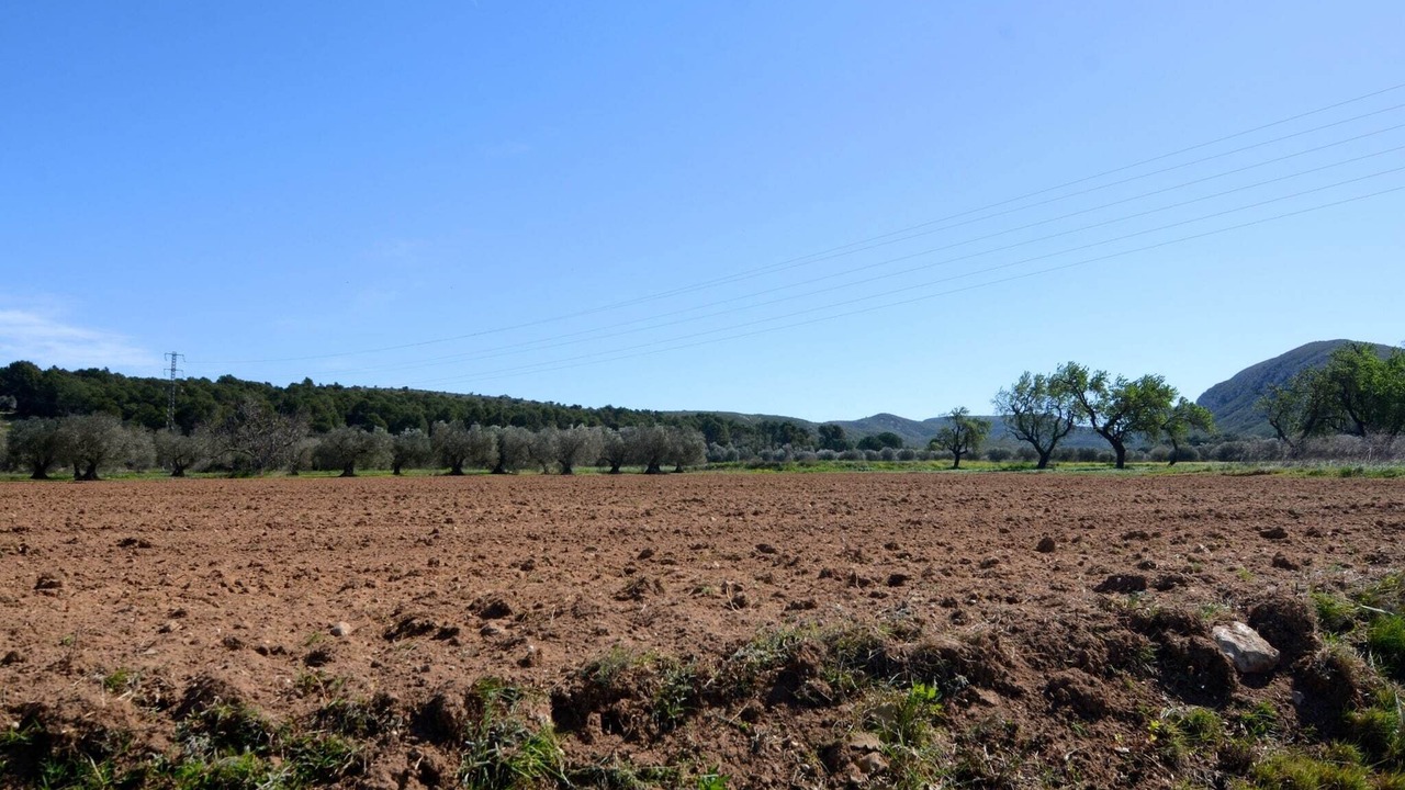 Photo of Others in Bellcaire d'Emporda