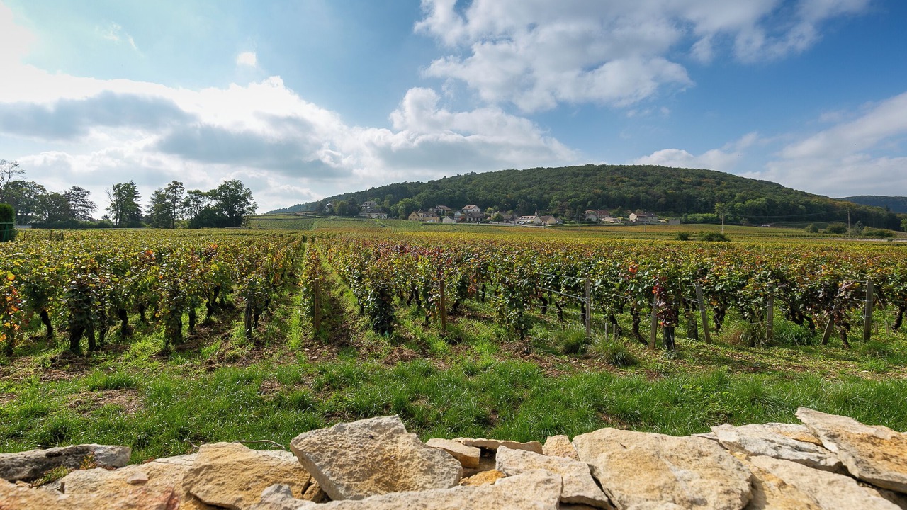 Photo of Outdoor in Gevrey-Chambertin