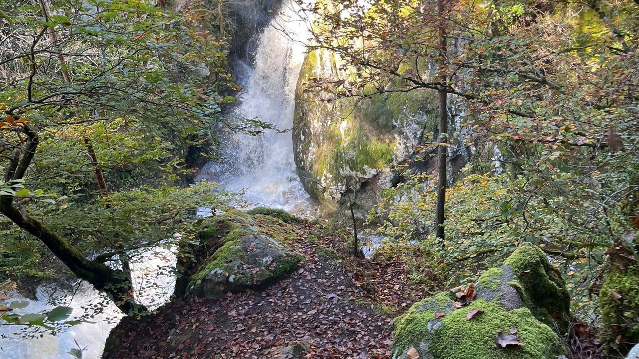 Photo of Others in Saint-Pal-de-Chalencon