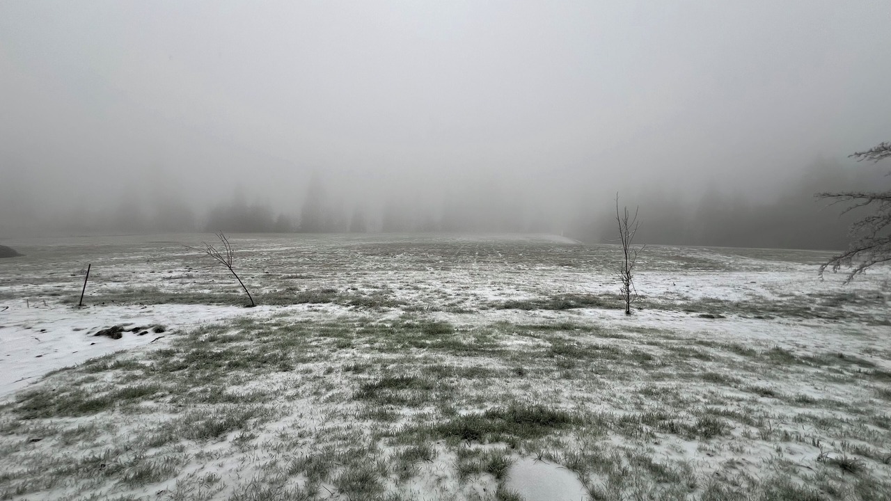 Photo of Others in Marmot