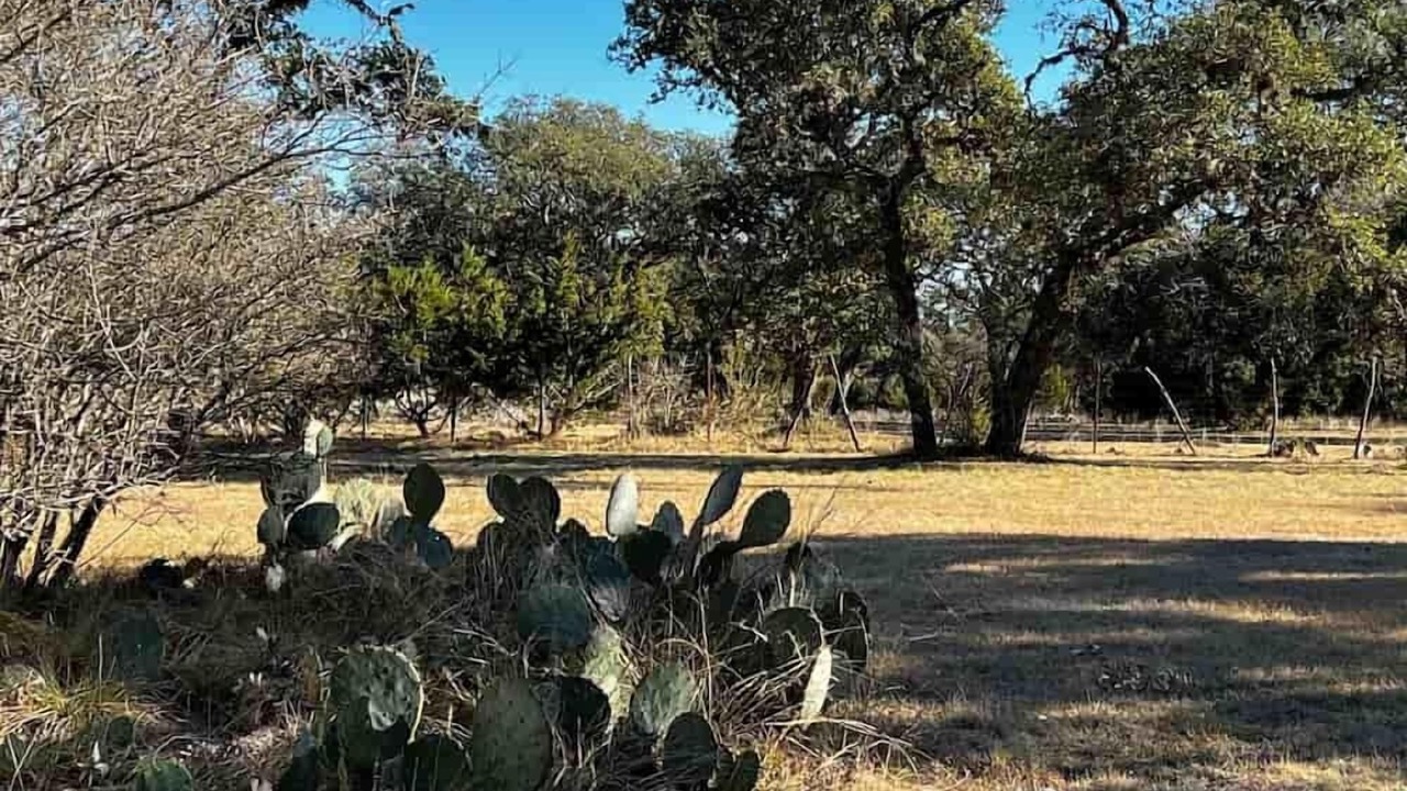 Photo of Outdoor in Bandera
