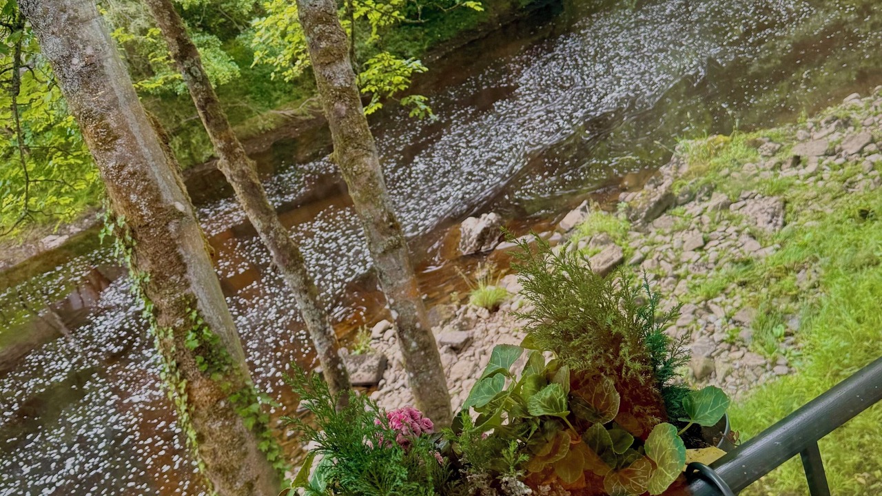 Photo of Others in Aysgarth