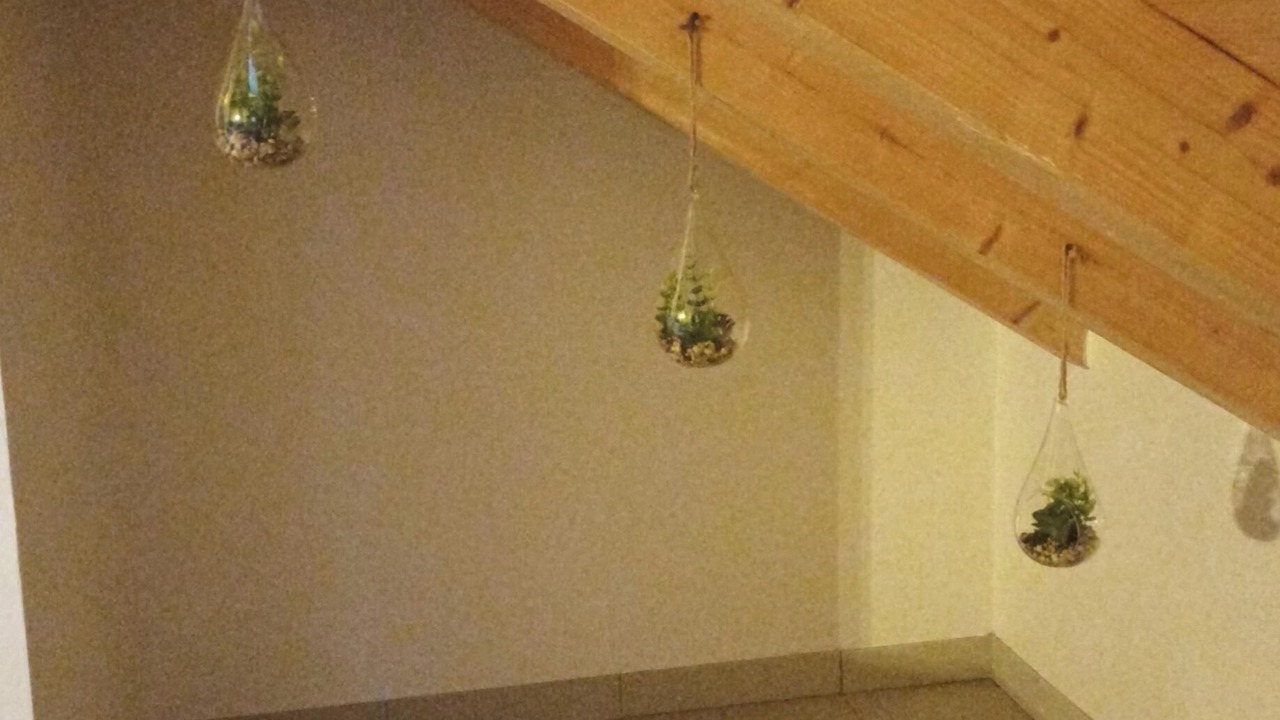 Photo of Others in Les Clefs