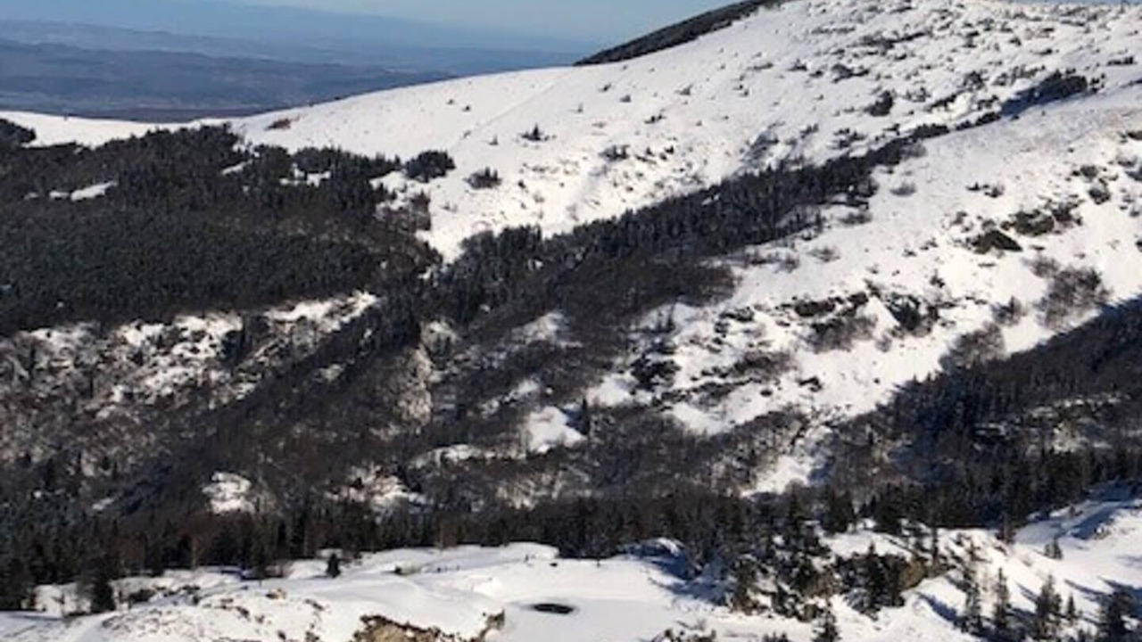 Photo of Others in Montferrier