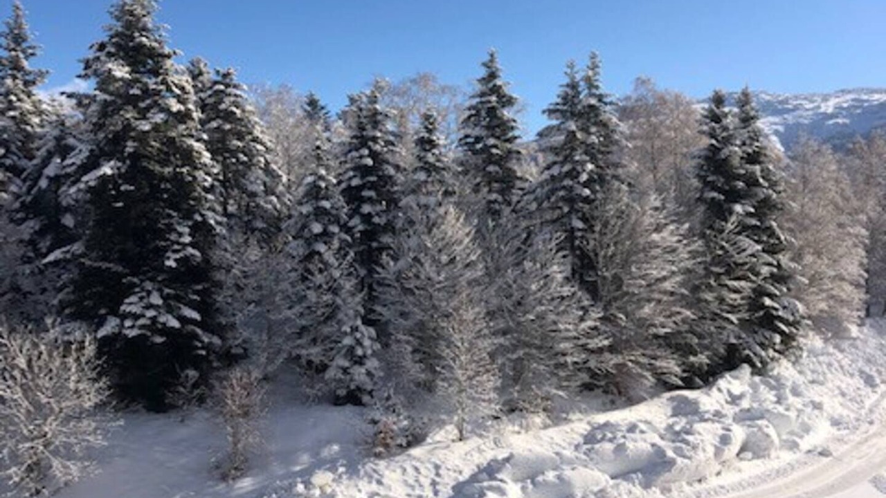 Photo of Others in Montferrier