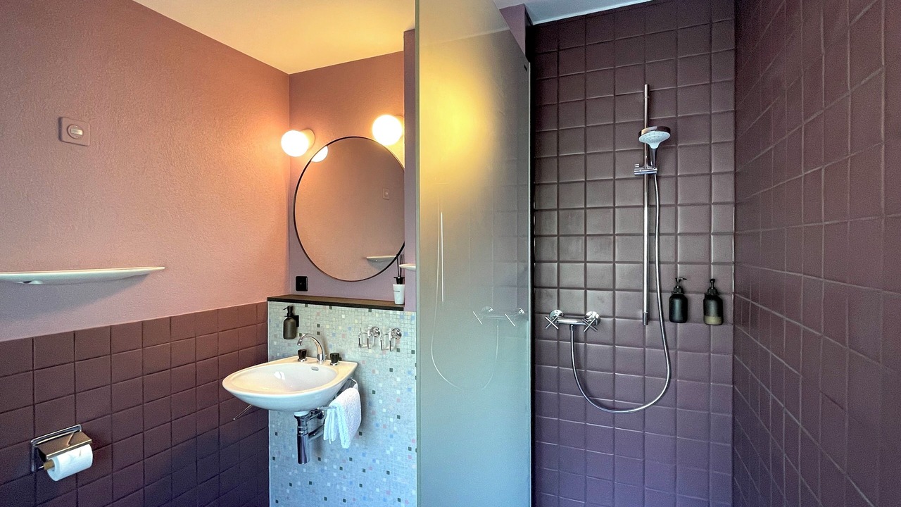 Photo of Bathroom in Icogne
