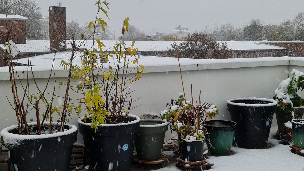 Photo of Outdoor in Champigny-sur-Marne