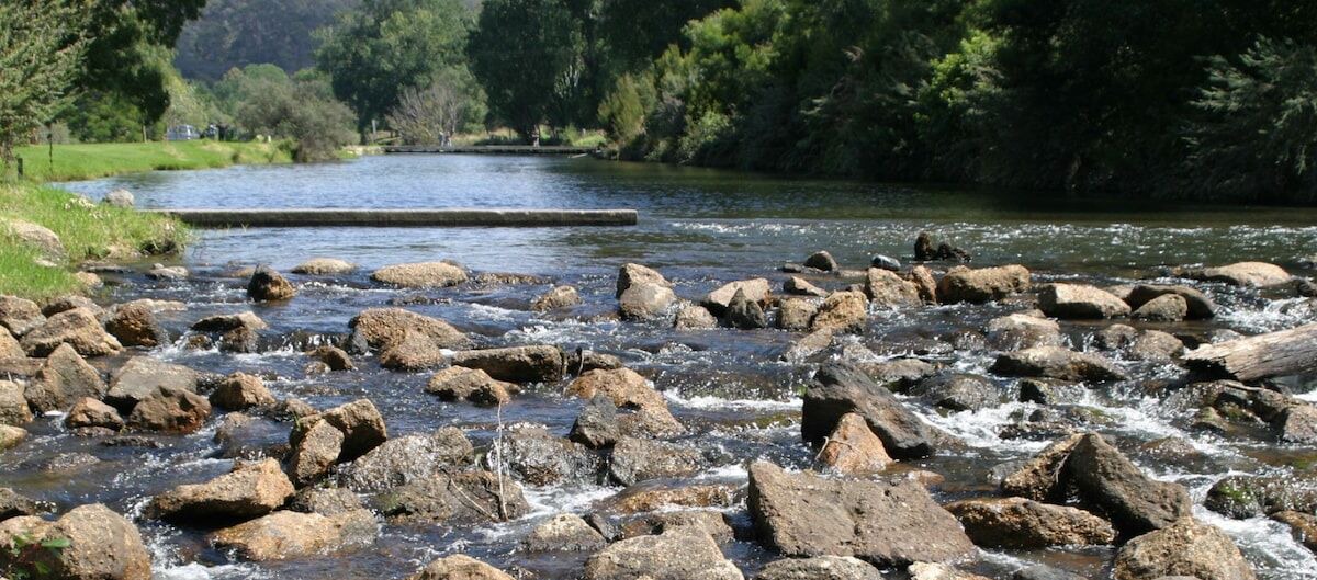 Photo of Others in Seaton