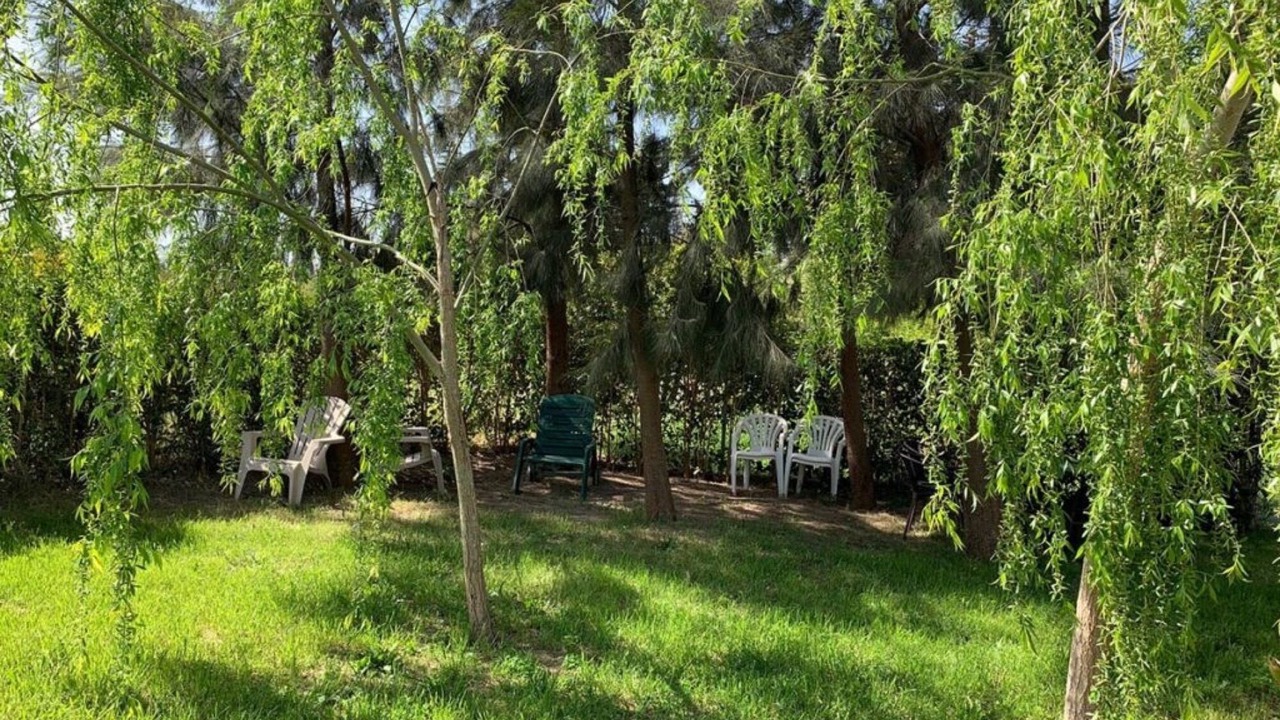 Photo of Outdoor in Camarles