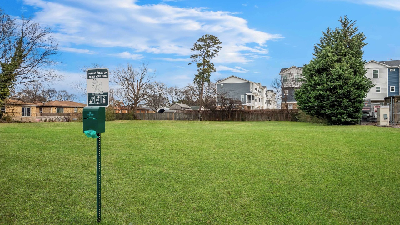 Photo of Outdoor in North Camellia Acres