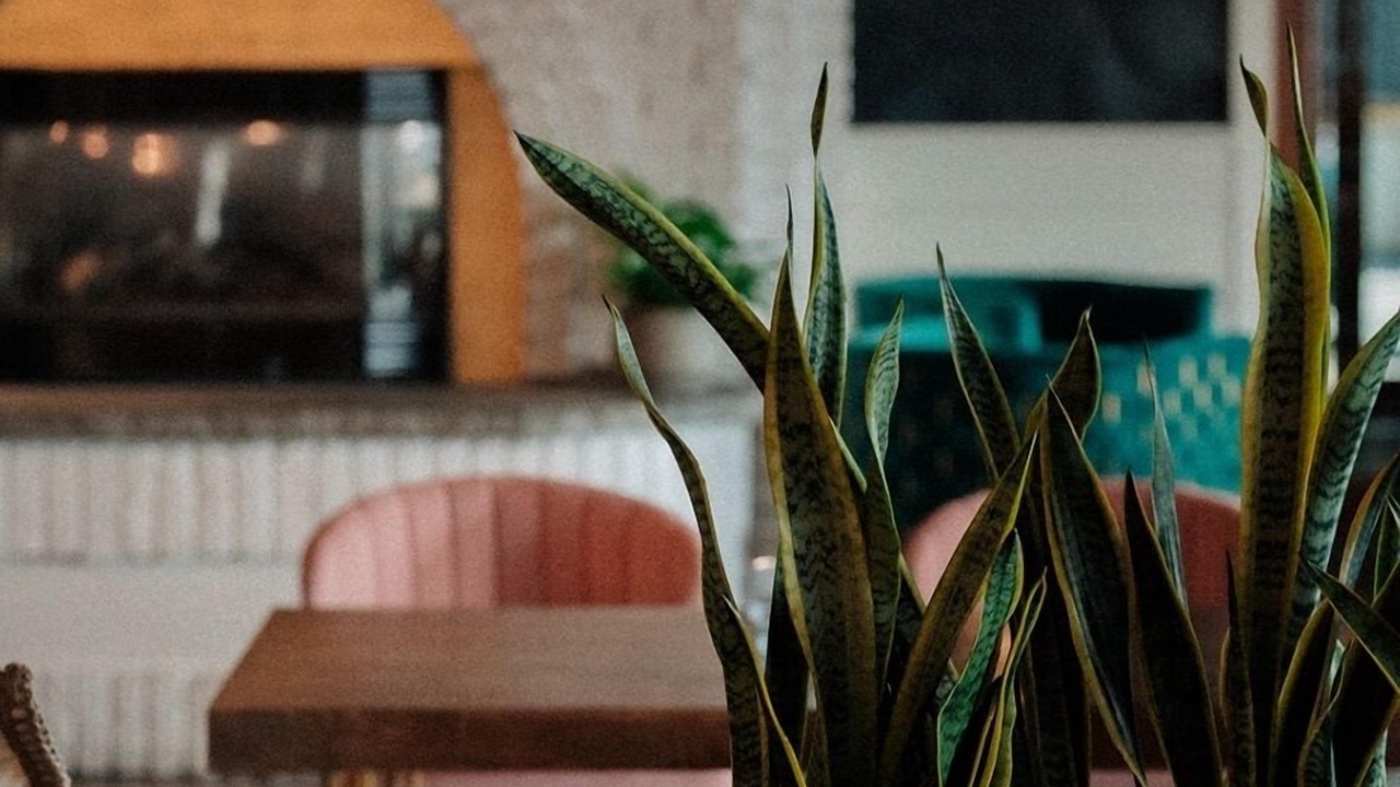 Photo of Others in Salisbury