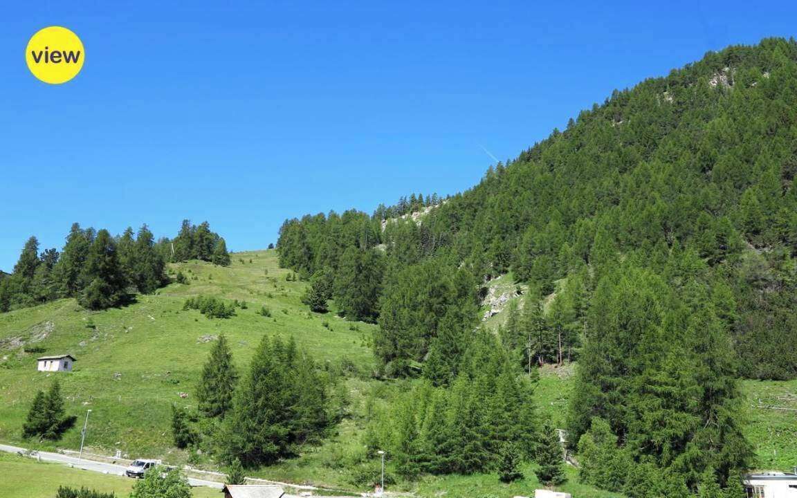 Photo of Others in Celerina-Schlarigna