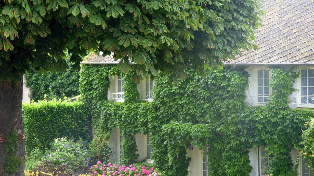 Photo of Outdoor in Tavers