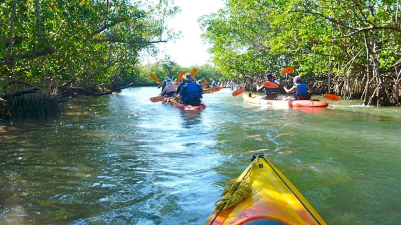 Photo of Others in Eastern Shores
