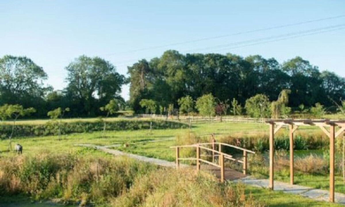 Photo of Others in Selsted