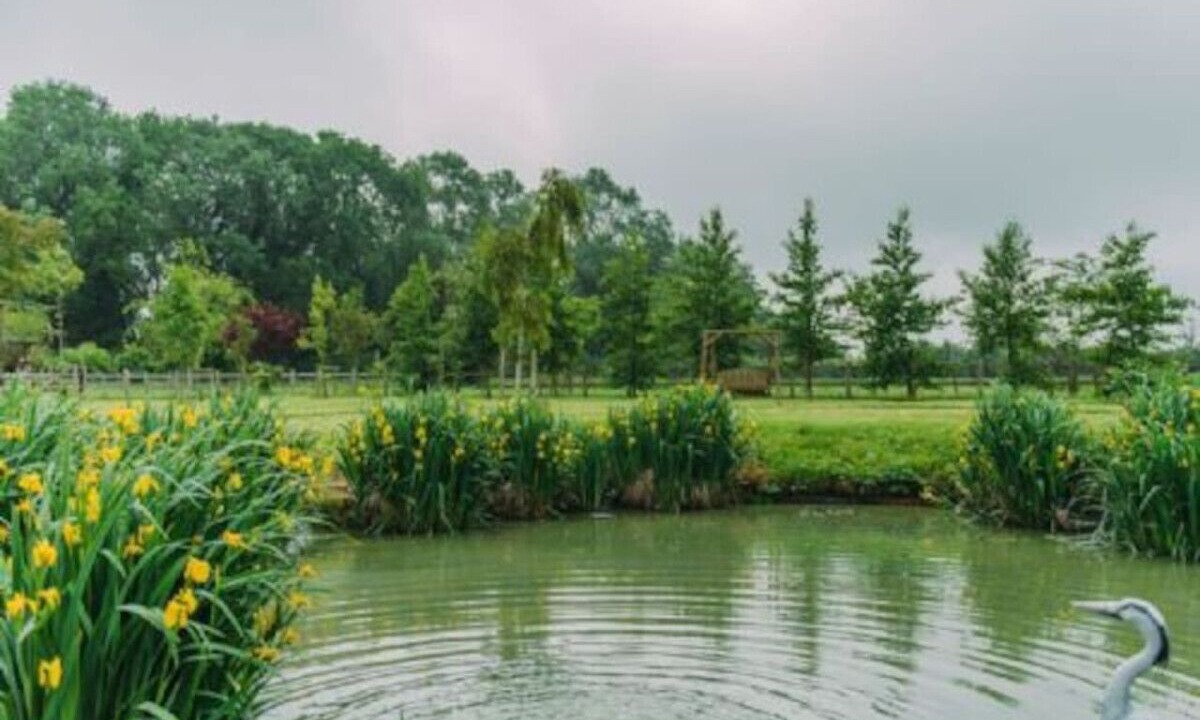 Photo of Others in Selsted