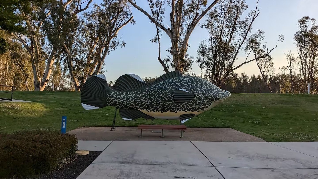 Photo of Others in Tocumwal