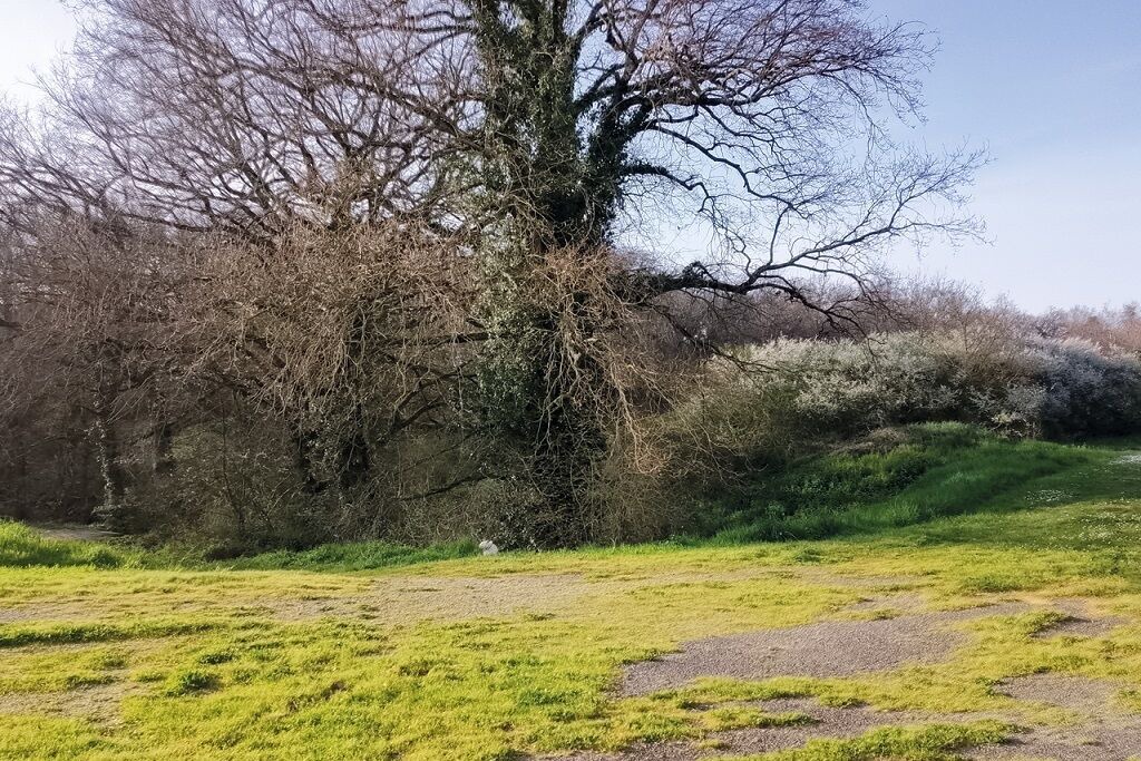 Photo of Others in Balma