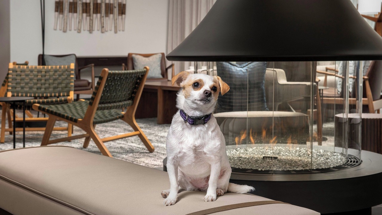 Photo of Others in Northgate