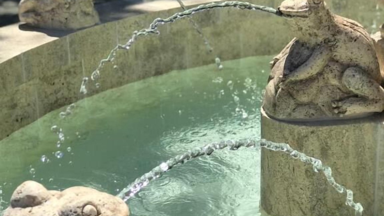 Photo of Outdoor in Calistoga