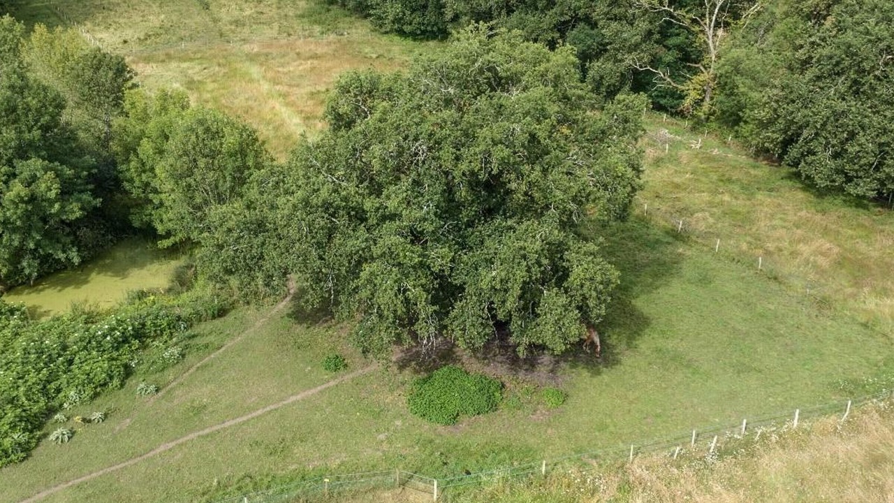 Photo of Outdoor in Saint-Front-de-Pradoux