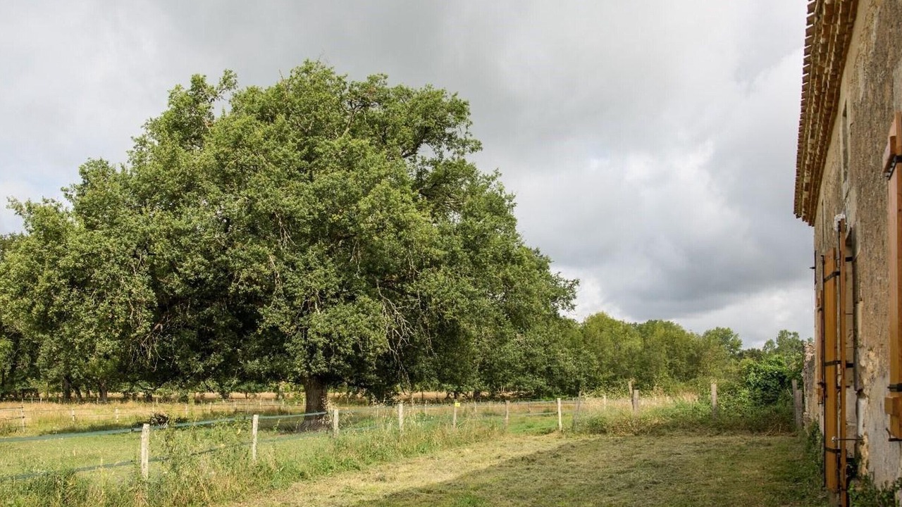 Photo of Others in Saint-Front-de-Pradoux