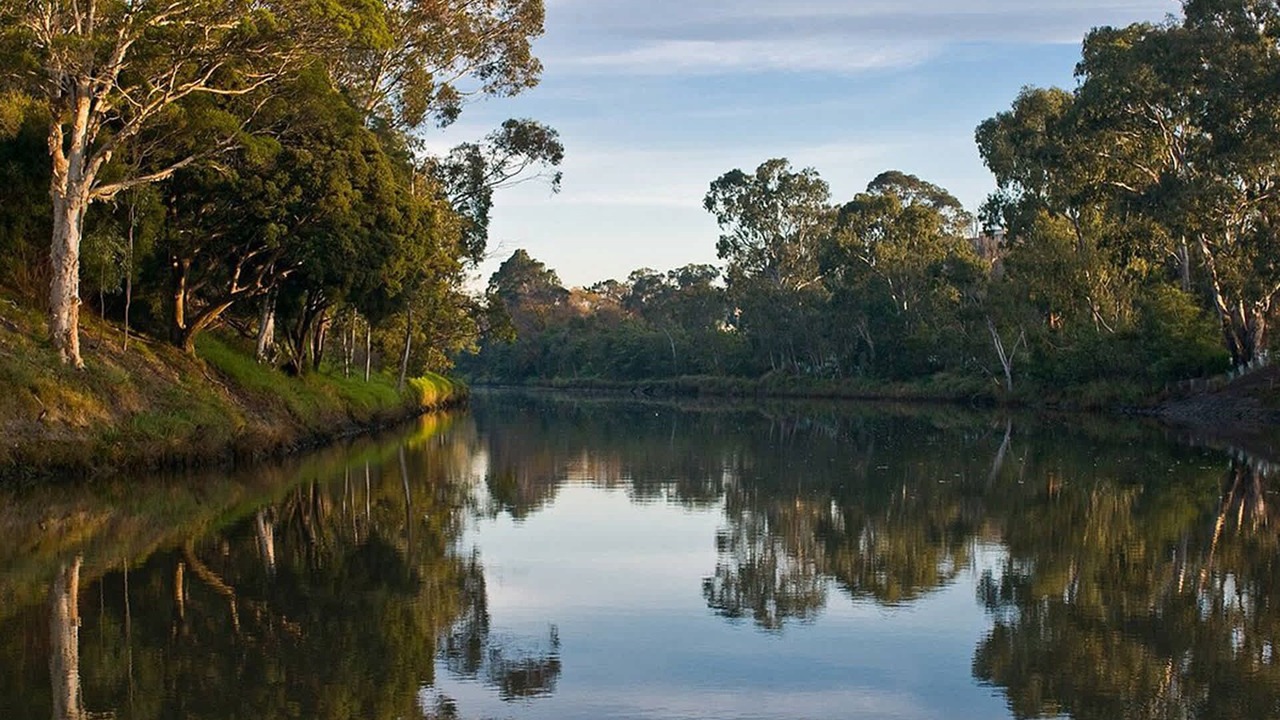 Photo of Others in Kew