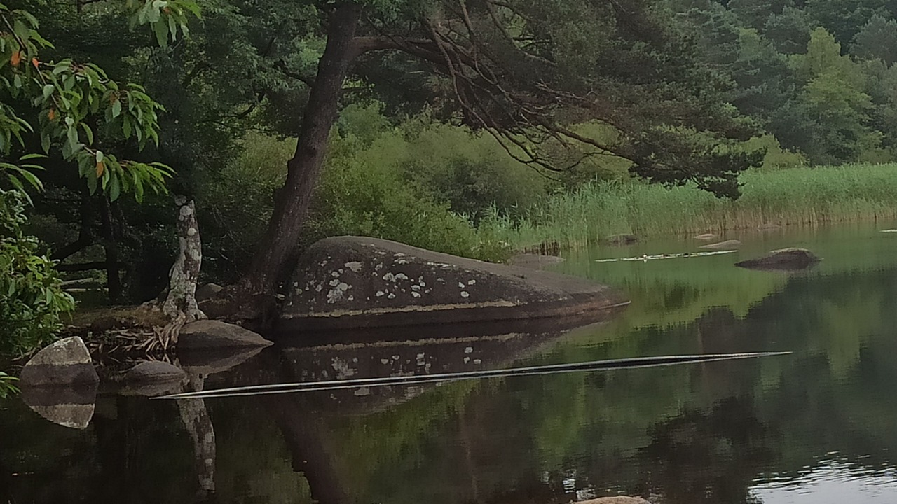 Photo of Others in Aussillon
