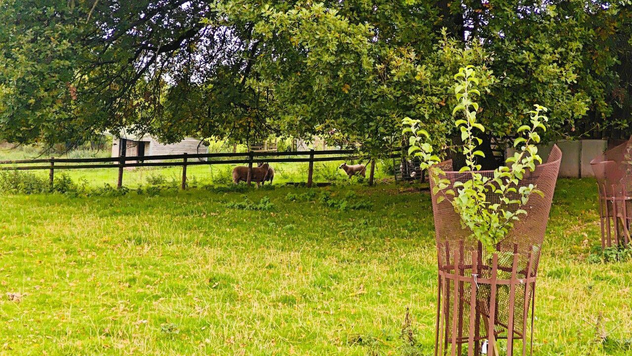 Photo of Outdoor in Upper Sapey