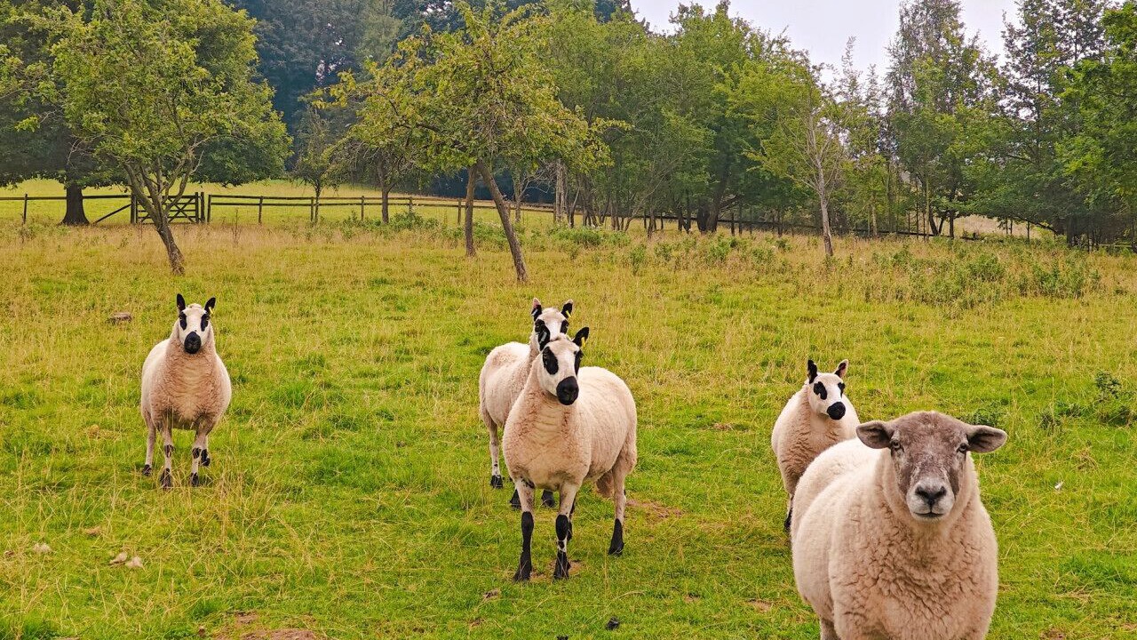 Photo of Others in Upper Sapey